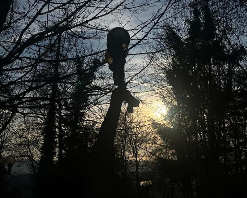 Zurich: Hike Up Zurich's Viewpoint & Enjoy Outdoor Raclette - Who Will Appreciate This Tour Most