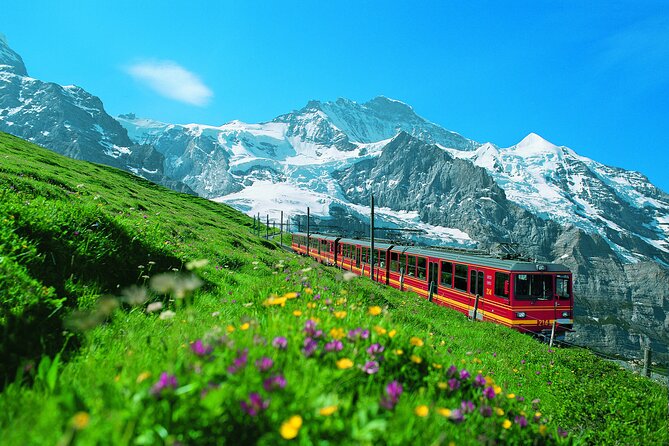 Zurich: Interlaken, Grindelwald & Harder Kulm Small Group Tour - Discover the Swiss Alps with a Full-Day Small Group Tour from Zurich