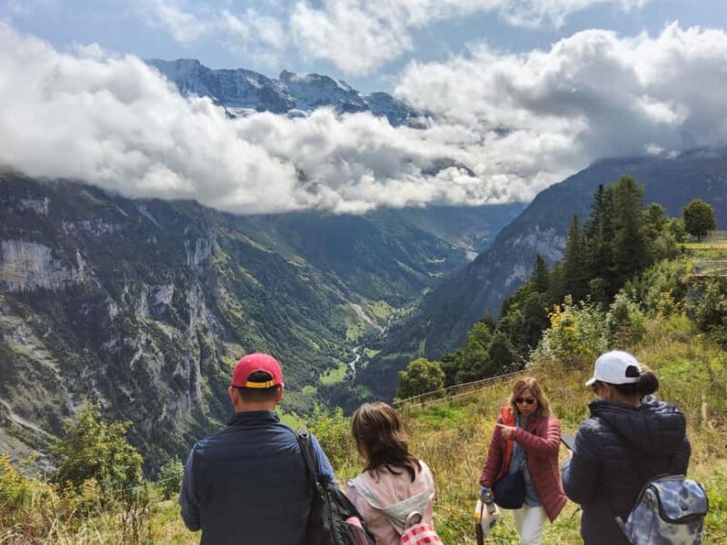 Zürich: Jungfrau Region Day Trip with Train and Hidden Gem - Key Points