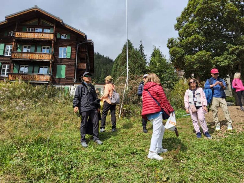 Zürich: Jungfrau Region Day Trip with Train and Hidden Gem - Departure from Zürich and Transport Logistics