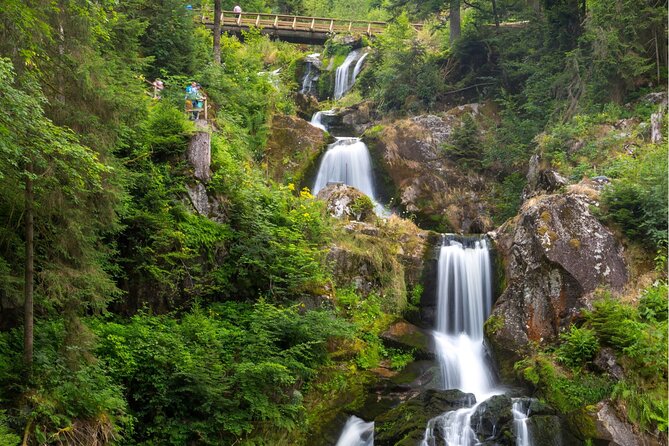 Zürich: Private Car Tour to Rhine Falls, Titisee and Black Forest - Explore Germany’s Highest Waterfalls in Triberg