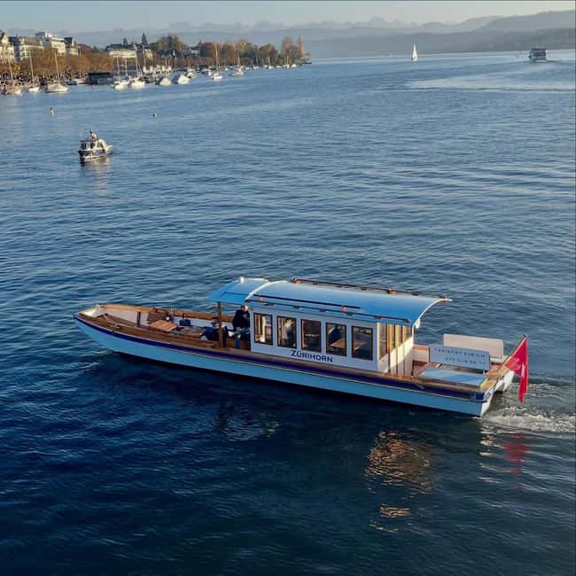 Zurich: Private Guided Boat Tour - Limitations and Considerations