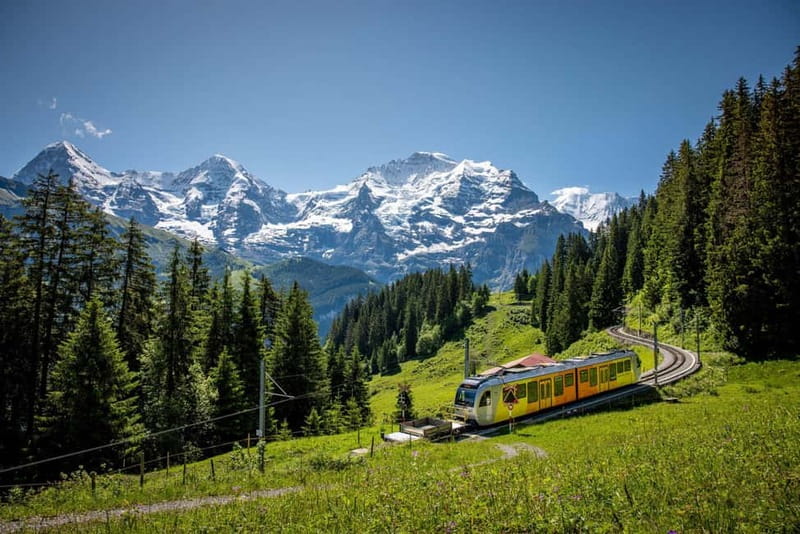 Zurich: Private Jungfraujoch & Thrilling Velogemel Adventure - Explore the Swiss Alps with a Private Day Trip from Zurich