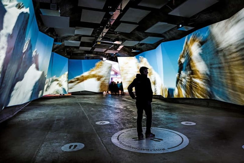 Zurich: Private Jungfraujoch & Thrilling Velogemel Adventure - Whats Included and Whats Not