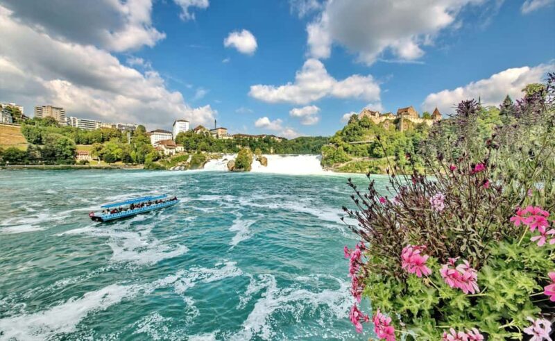 Zurich: Rhine Falls Private Tour - Comparing This Tour to Similar Rhine Falls Experiences