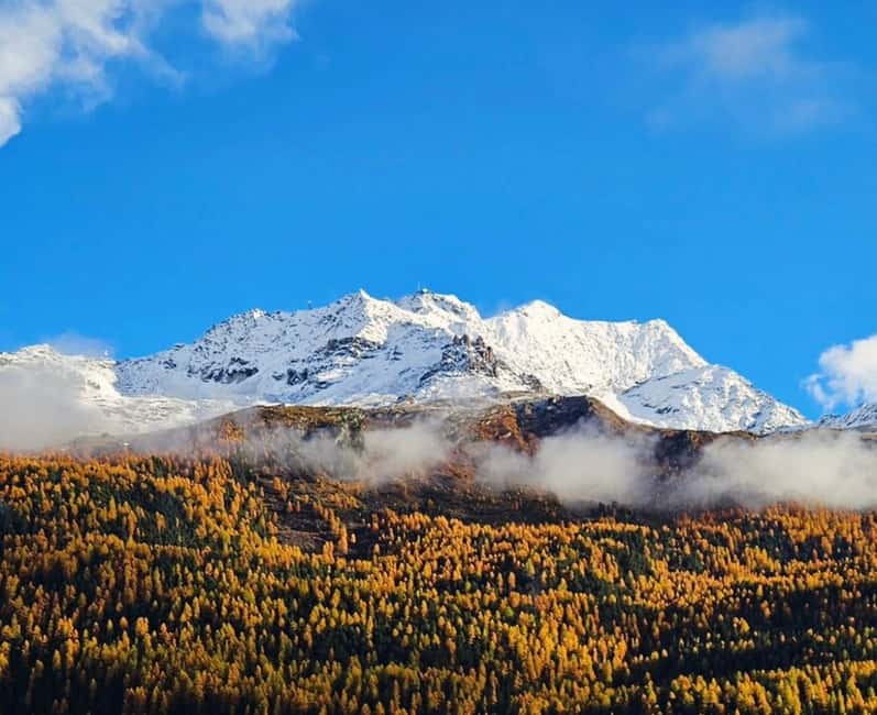 Zurich to St. Moritz Private Tour or Transfer - The Landquart Fashion Outlet: Mountain-View Shopping