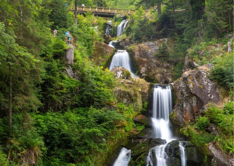 Zürich:Private Car Tour- Rhine Falls, Titisee & Black Forest - Discover the Wonders of Switzerland and Germany on a Private Car Tour