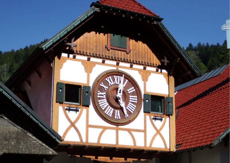 Zürich:Private Car Tour- Rhine Falls, Titisee & Black Forest - Practical Details: Logistics and What’s Included