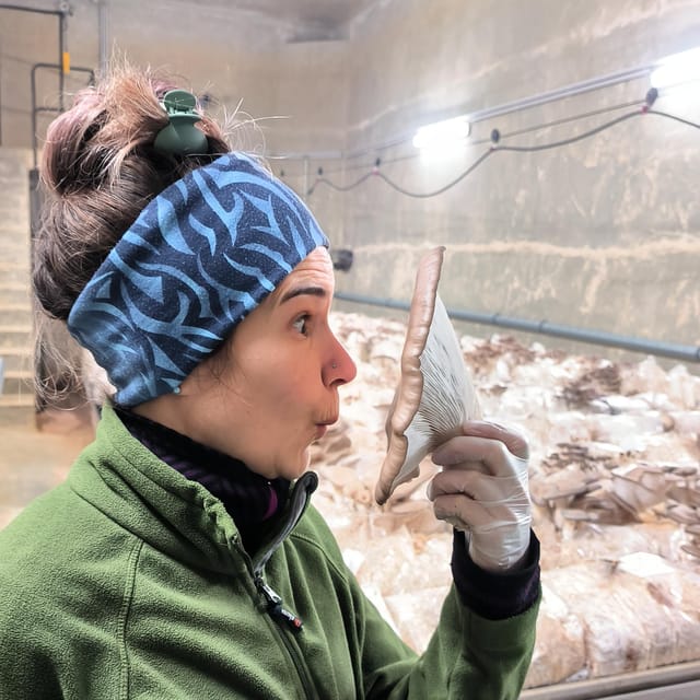 Zurich's best-kept secret: the hidden world of mushrooms! - Touch, Smell, and Taste: The Mushroom Experience